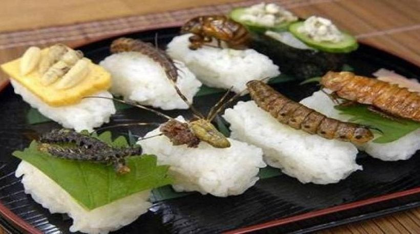 Γρύλοι, ακρίδες και σκουλήκια στα… πιάτα των Ελβετών